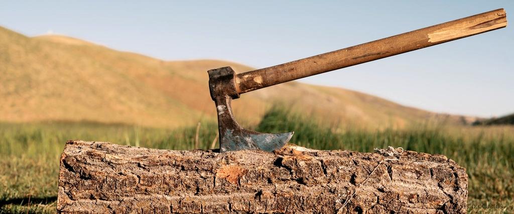 Astilladoras para tractor en Galicia: encuentra la mejor opción de segunda mano en Lugo