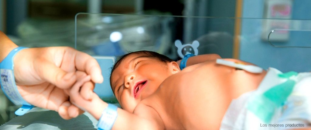 Preparador de biberones automatico Baby brezza Formula Pro Advanced ·  Babybrezza · El Corte Inglés