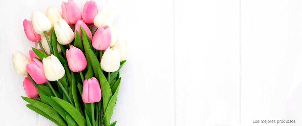 "Carrefour: la mejor opción para comprar ramos de tulipanes a buen precio"