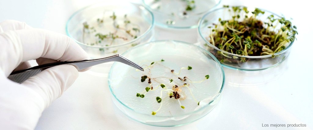 ¿Cómo utilizar correctamente la emulsión de Alpenkräuter para obtener resultados visibles?