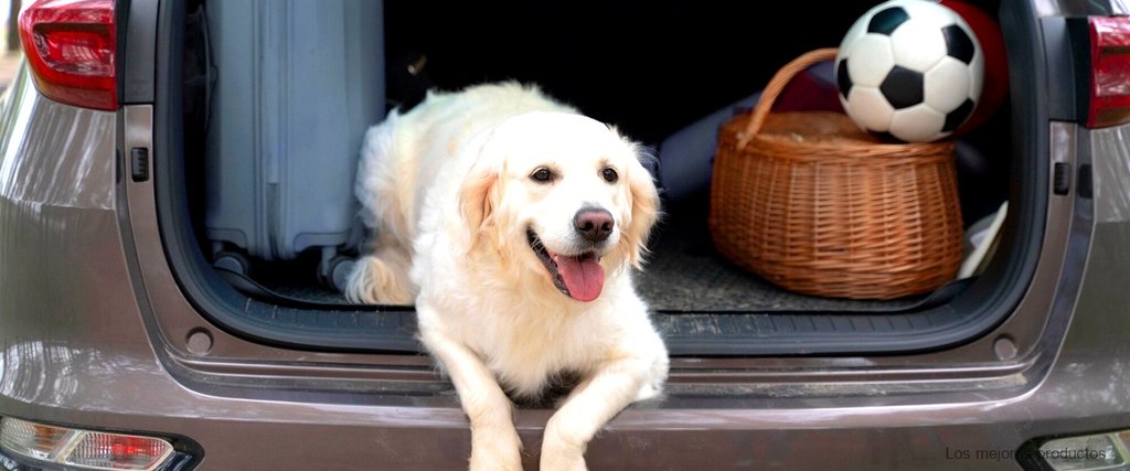 Comodidad y seguridad: el cochecito perro Alcampo es la elección perfecta