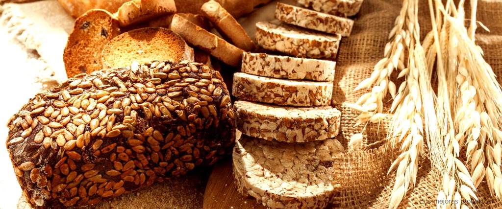¿Cuál es la harina sin gluten más similar a la de trigo?