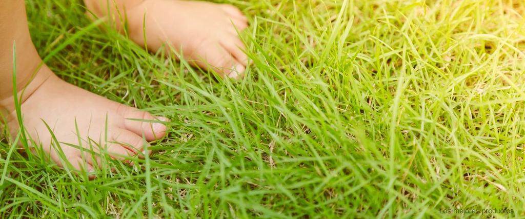 ¿Cuáles son las mejores plantillas ortopédicas?
