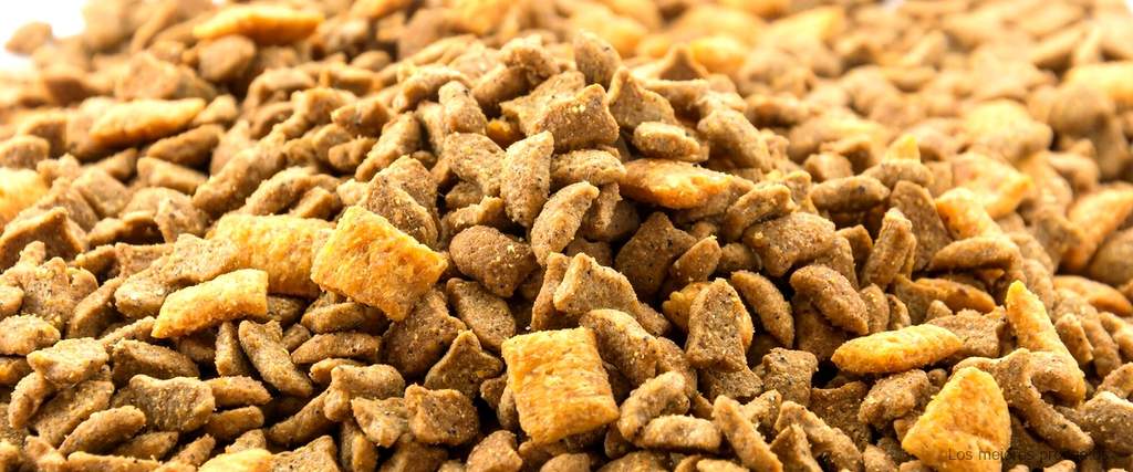 ¿Cuáles son las opiniones sobre Briantos Pienso sin cereales?