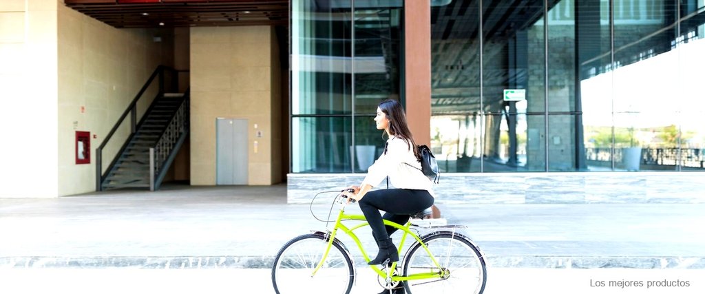 ¿Cuánto pesa la bicicleta eléctrica?