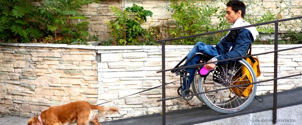 ¿Cuánto tarda un perro en adaptarse a una silla de ruedas?