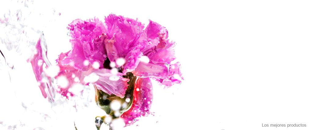 Descubre el encanto de Alaia perfume Primor: una fragancia única en elegancia.