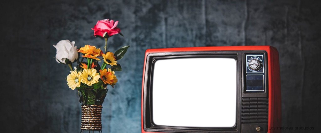 Descubre la calidad y el precio insuperable de los televisores Selecline