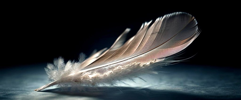 Descubre los diferentes tipos de plumas para tocados y elige el perfecto para ti