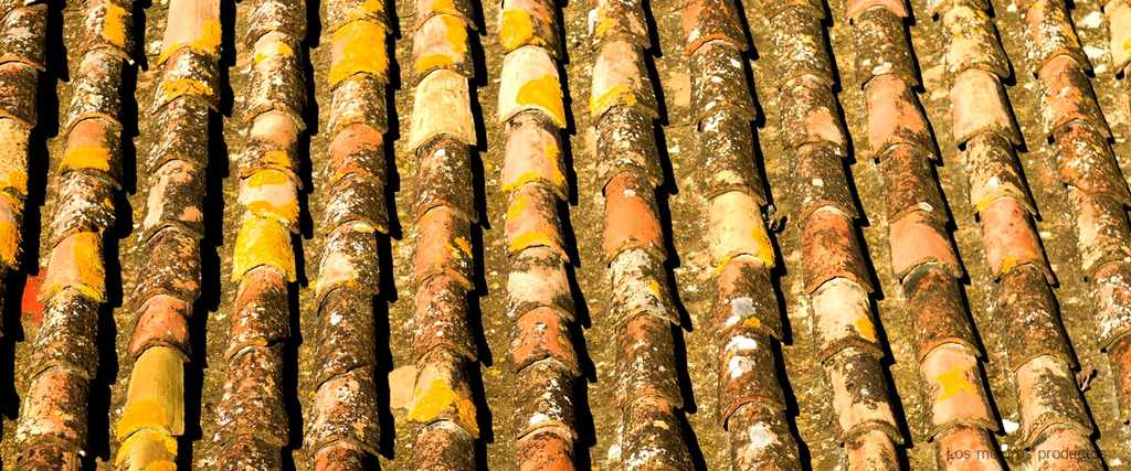 Descubre los precios de la teja terreal: la mejor opción para tu tejado