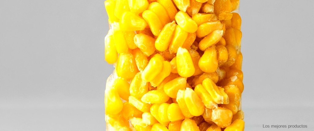 ¿Dónde comprar maíz cancha de Carrefour? Descubre la mejor opción para disfrutar de este snack saludable