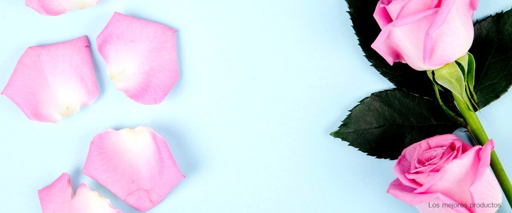 Encuentra pétalos de rosa en Carrefour: la mejor opción