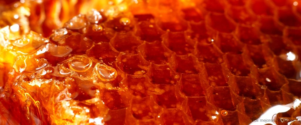 Etiquetas de seguridad para tarros de miel: protección y confianza para tus clientes