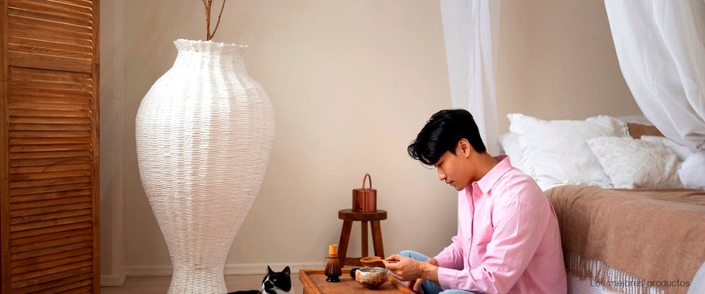 IKEA y los gatos: la combinación perfecta para el entretenimiento felino en casa
