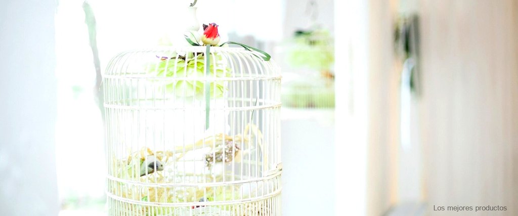 Jaulas de perdiz baratas y de calidad: la elección perfecta para criar tus aves