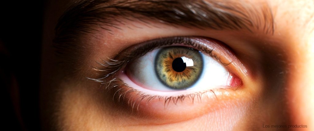 Lentillas negras de ojo completo: la tendencia en lentes de contacto.