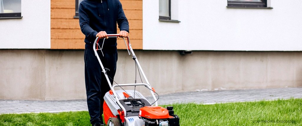 Los motores más eficientes para segadoras: cuida tu jardín con la mejor tecnología