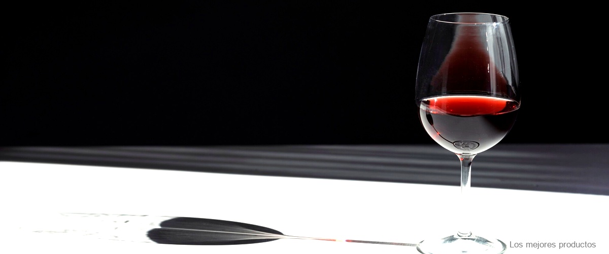 Mallacán Borsao: una experiencia única para los amantes del vino