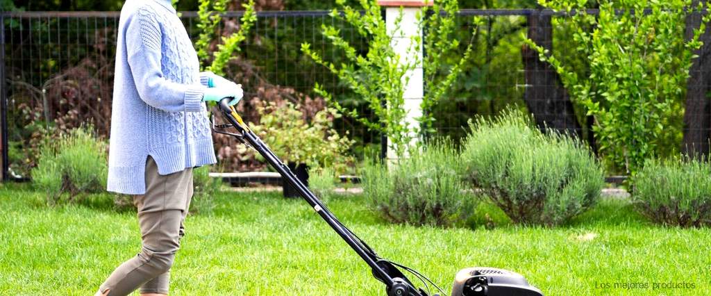 Mantén tu jardín con un cortacésped de segunda mano en Santiago de Compostela