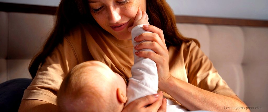 Nidina 1 Lidl: el alimento ideal para el crecimiento y desarrollo de tu bebé