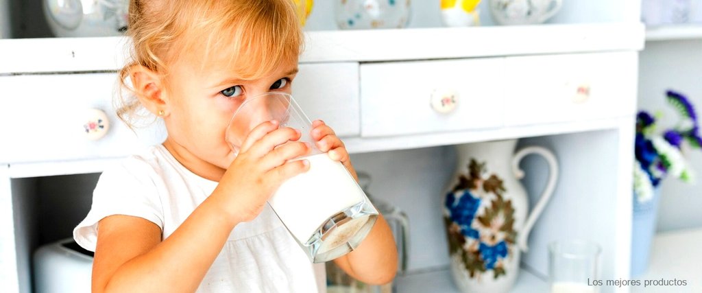 Nidina 1 Lidl: la leche de fórmula más recomendada por los expertos