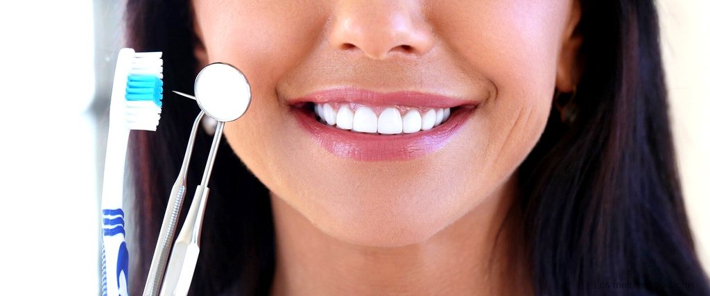 Opiniones de usuarios sobre el cepillo para prótesis dental de Mercadona