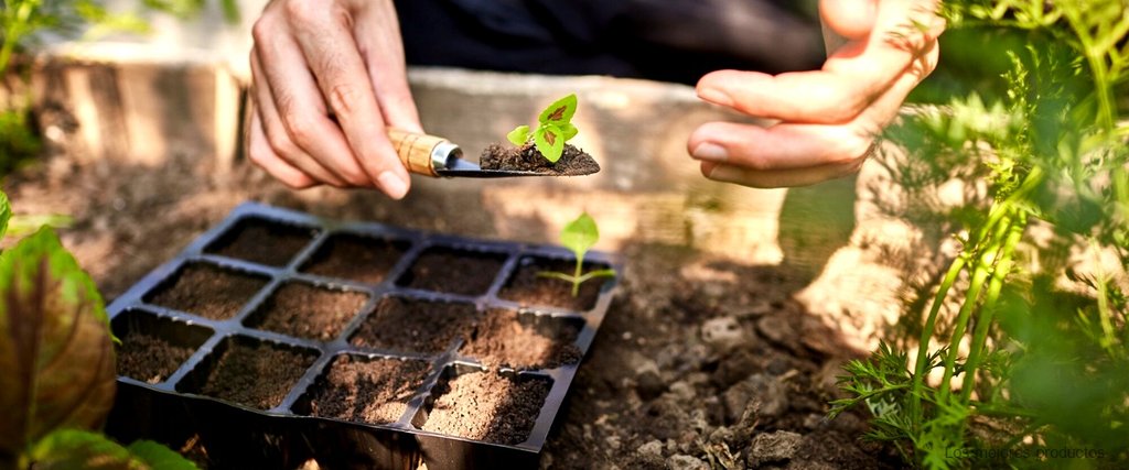 Opiniones de usuarios sobre las barritas fertilizantes Lidl: ¿realmente funcionan?