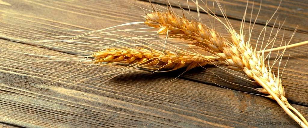 ¿Por qué elegir los cereales de salvado de trigo de Lidl?