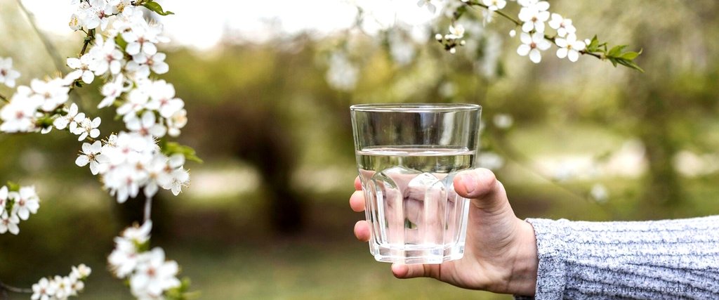 ¿Qué agua es mejor, Font Vella o Bezoya?