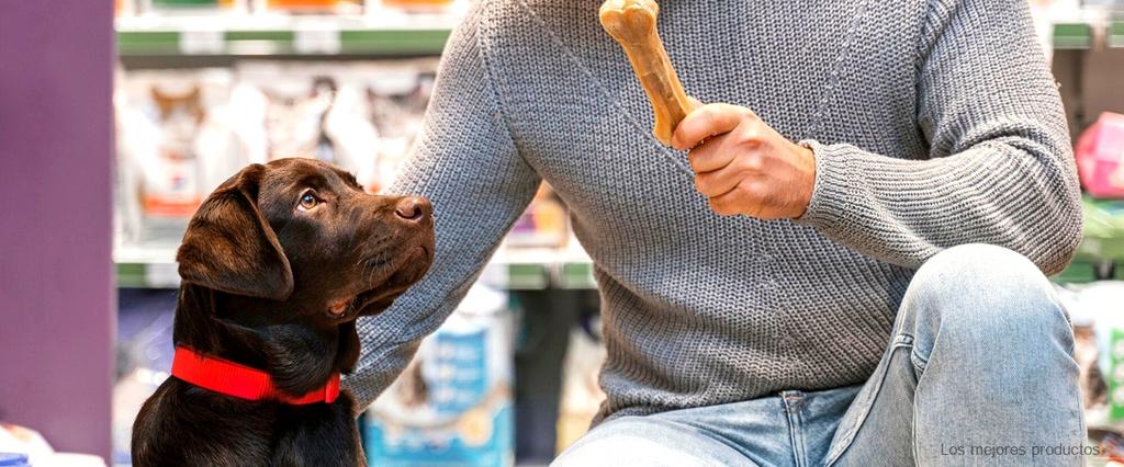 ¿Qué se usa para limpiar las orejas de los perros?