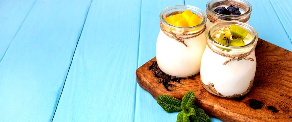 ¿Qué son los fermentos del yogur?