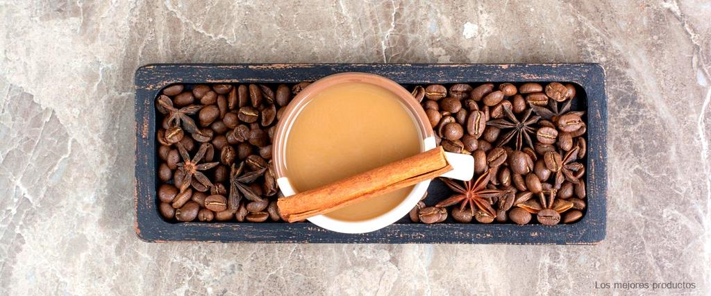 ¿Qué tipo de café en Nespresso?