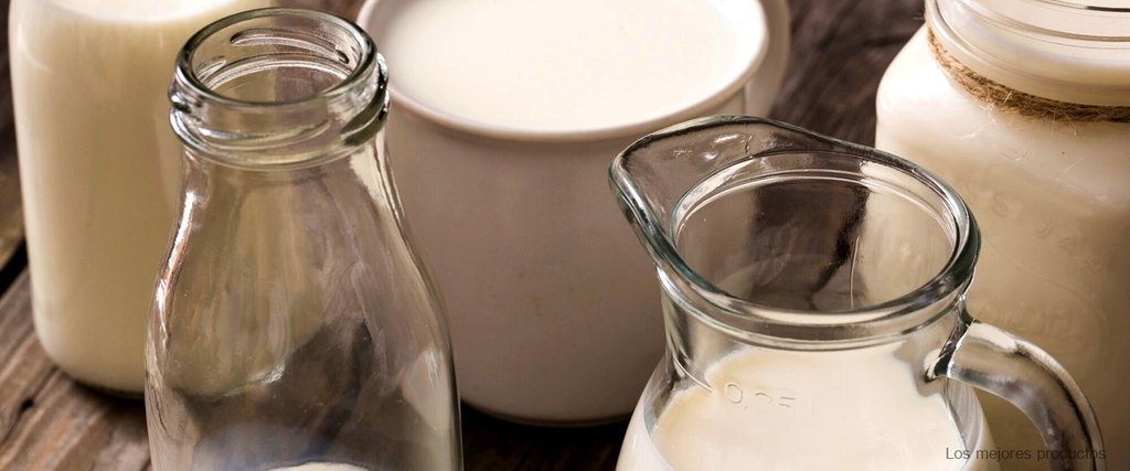 ¿Qué tipo de leche está pasteurizada?