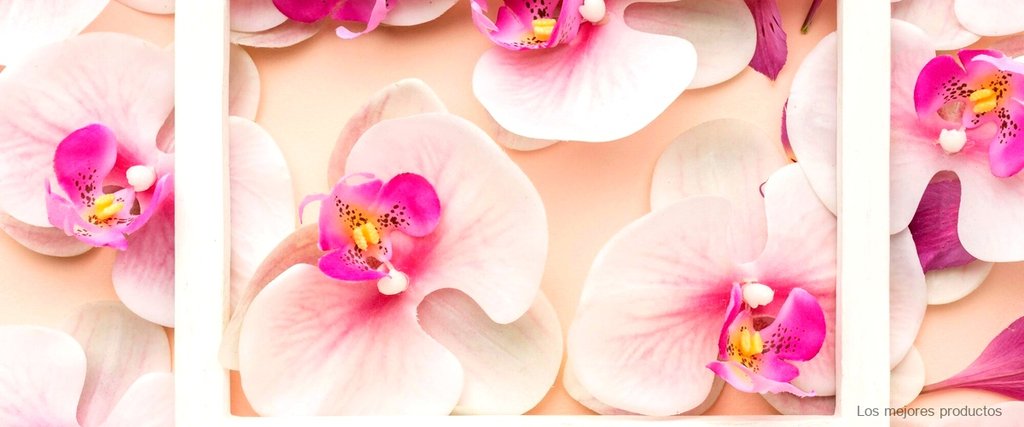Transforma tu hogar con centros de orquídeas artificiales