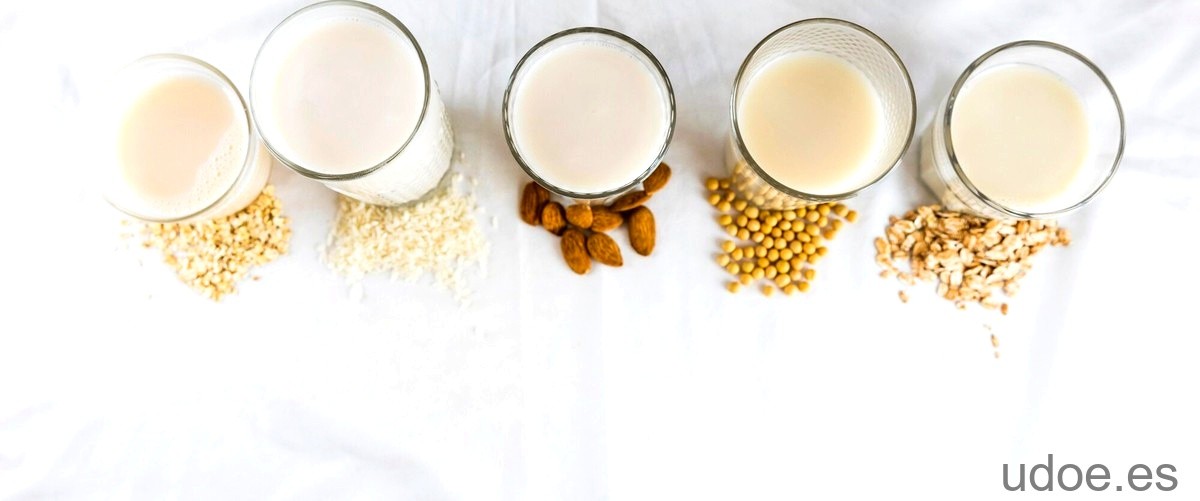 Mejor leche con vitamina D: comparativa de contenido - 3 - diciembre 24, 2023