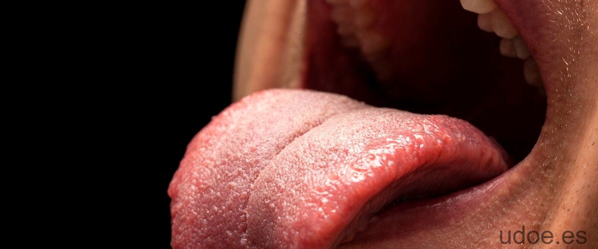 Cómo la saliva influye en la percepción del sabor