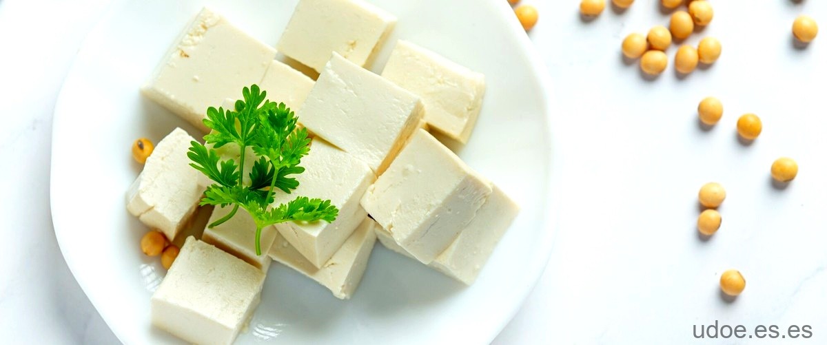 ¿Cómo saber si el tofu ya no sirve?