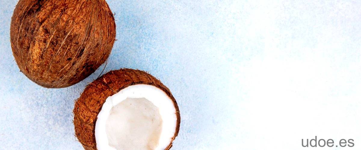 Comer coco en mal estado: riesgos y prevención - 31 - diciembre 22, 2023