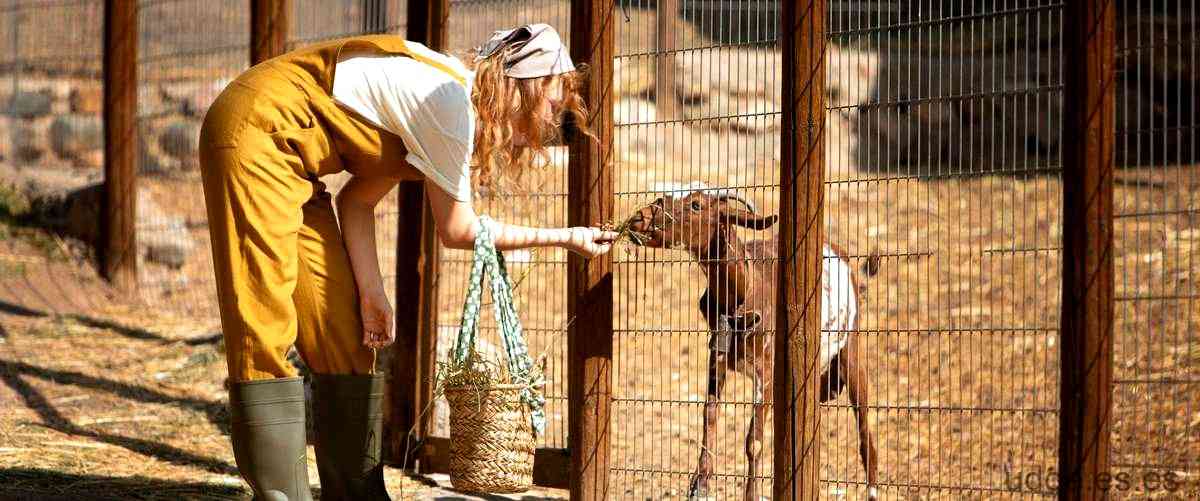 ¿Cuál es la importancia del maltrato animal en la sociedad?