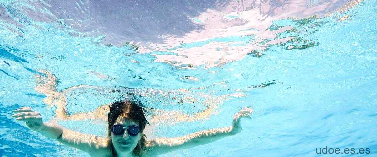 Dory sigue nadando: La inquebrantable perseverancia - 47 - diciembre 26, 2023