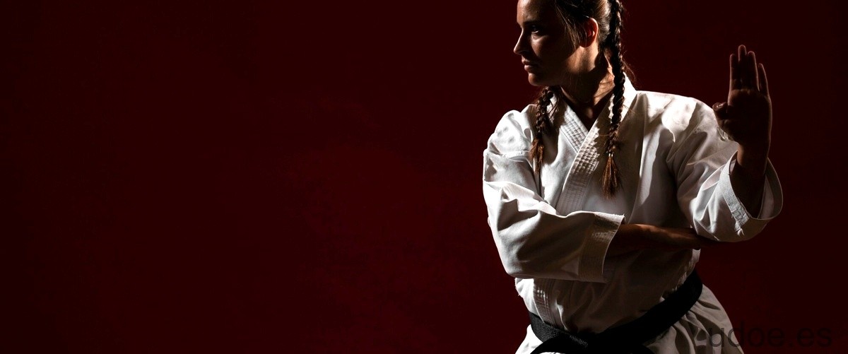 ¿Cuál es más antiguo, el kung fu o el karate?