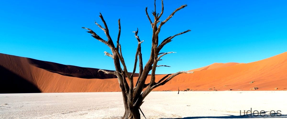 Cuantos desiertos hay en el mundo: La aridez del planeta. - 9 - diciembre 19, 2023