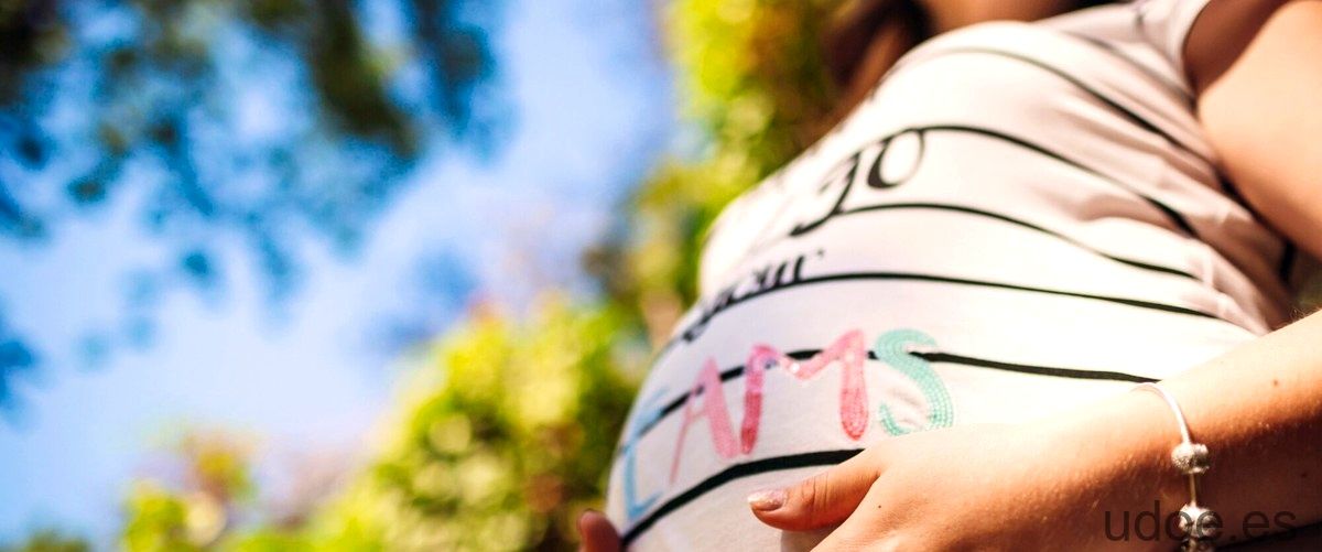 Barriga de tres meses de embarazo: cambios y cuidados - 39 - diciembre 29, 2023