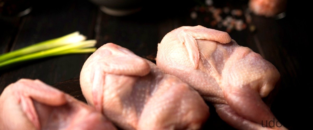 Cómo descongelar alitas de pollo: consejos útiles - 15 - diciembre 23, 2023