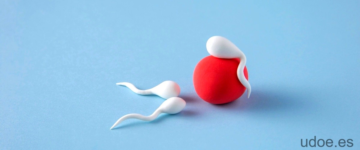 La ciencia detrás de la supervivencia de los espermatozoides en la boca