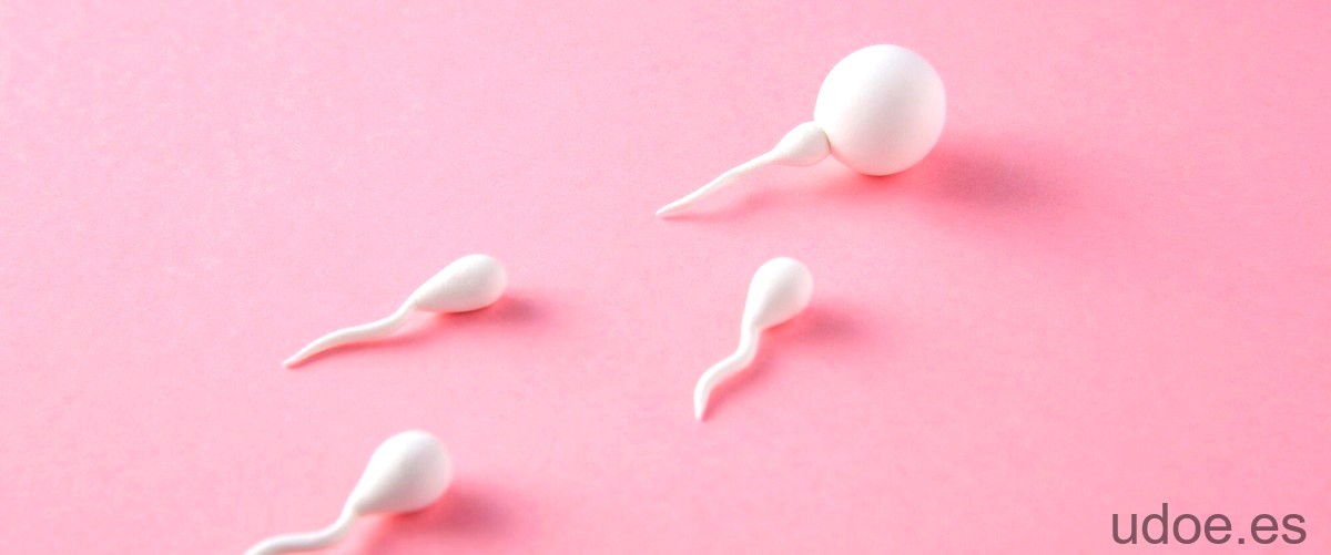 Mitos y realidades sobre la duración de los espermatozoides en la boca