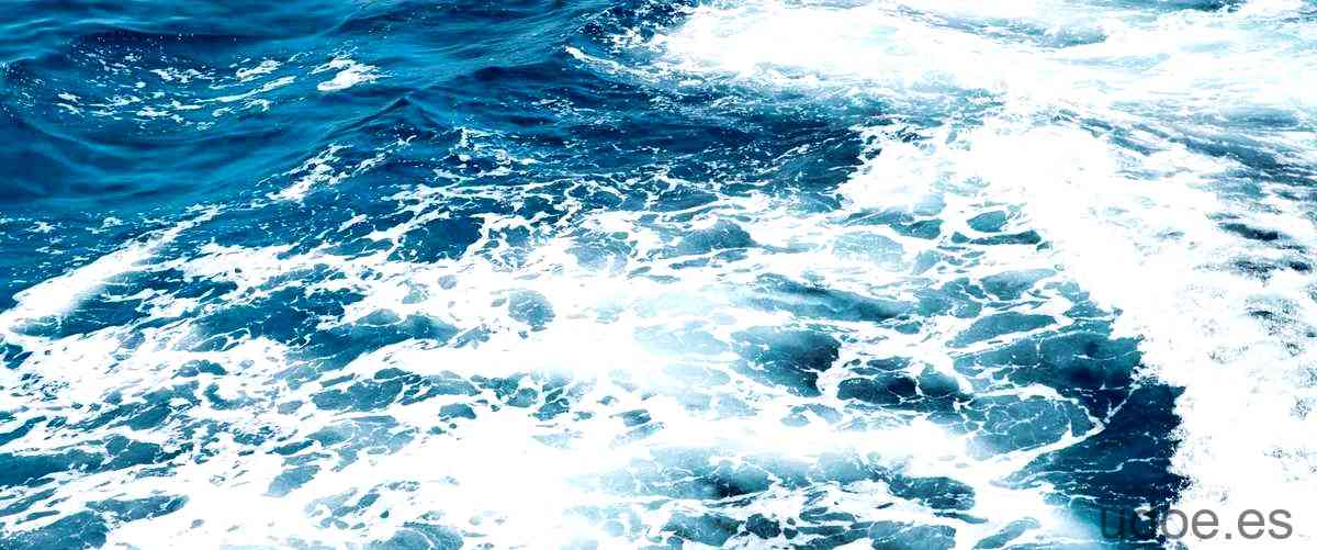 No culpes a las olas si no entiendes las mareas: Navegando en la incertidumbre - 45 - diciembre 24, 2023