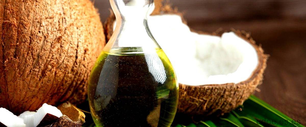 Aceite de coco para piojos: un remedio natural eficaz - 9 - diciembre 24, 2023