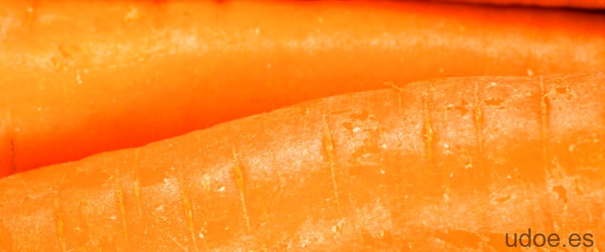Comer zanahoria todos los días: beneficios para la salud - 23 - diciembre 25, 2023