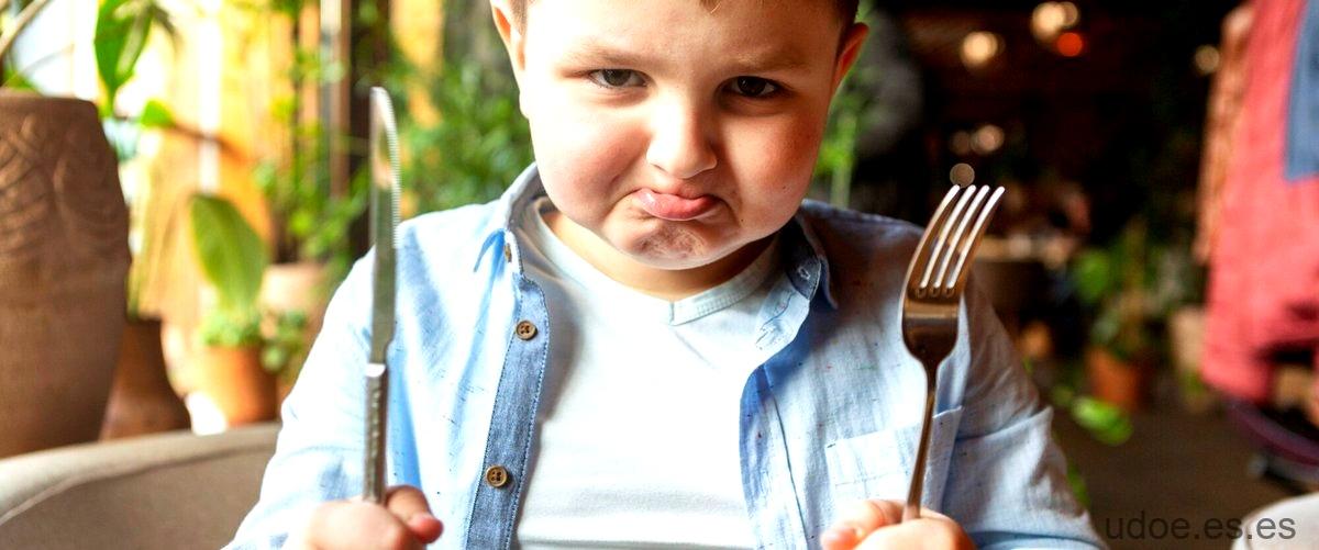 ¿Qué debo hacer si mi hijo de 2 años no quiere comer?
